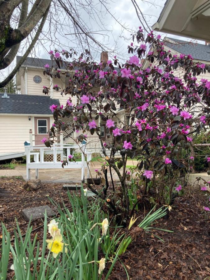 Bed and Breakfast The Herren House Waynesville Exterior foto